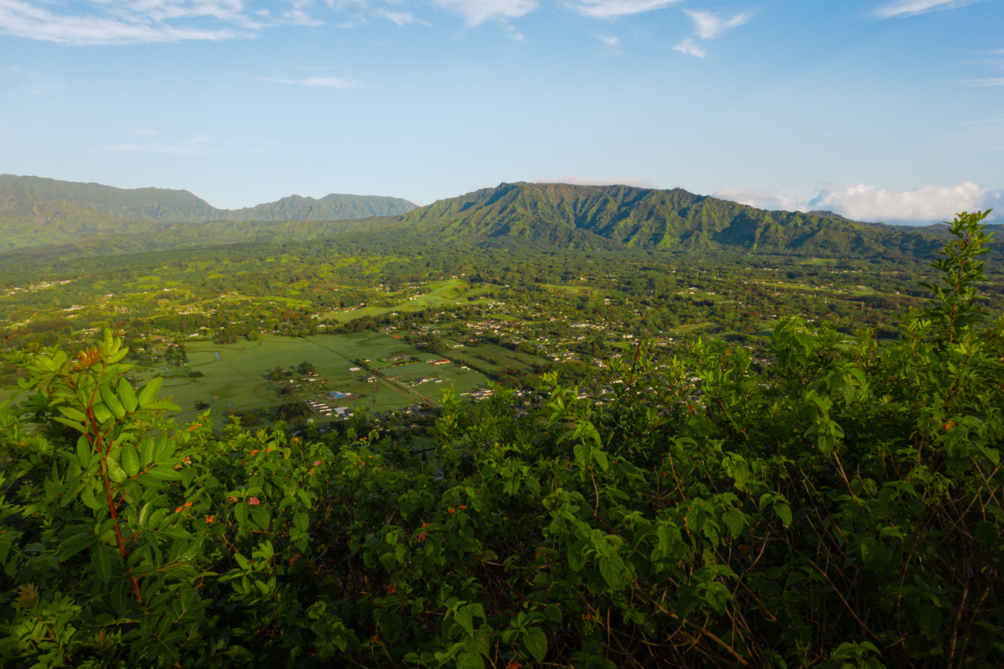 Above Kapaʻa, Kauaʻi